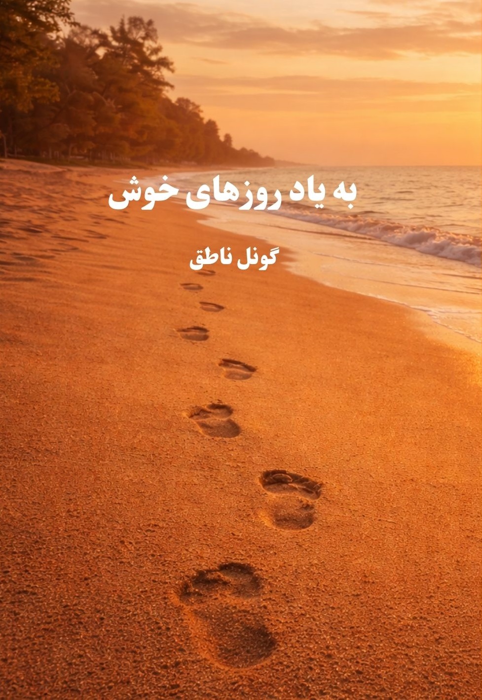 جلد کتاب به یاد روزهای خوش